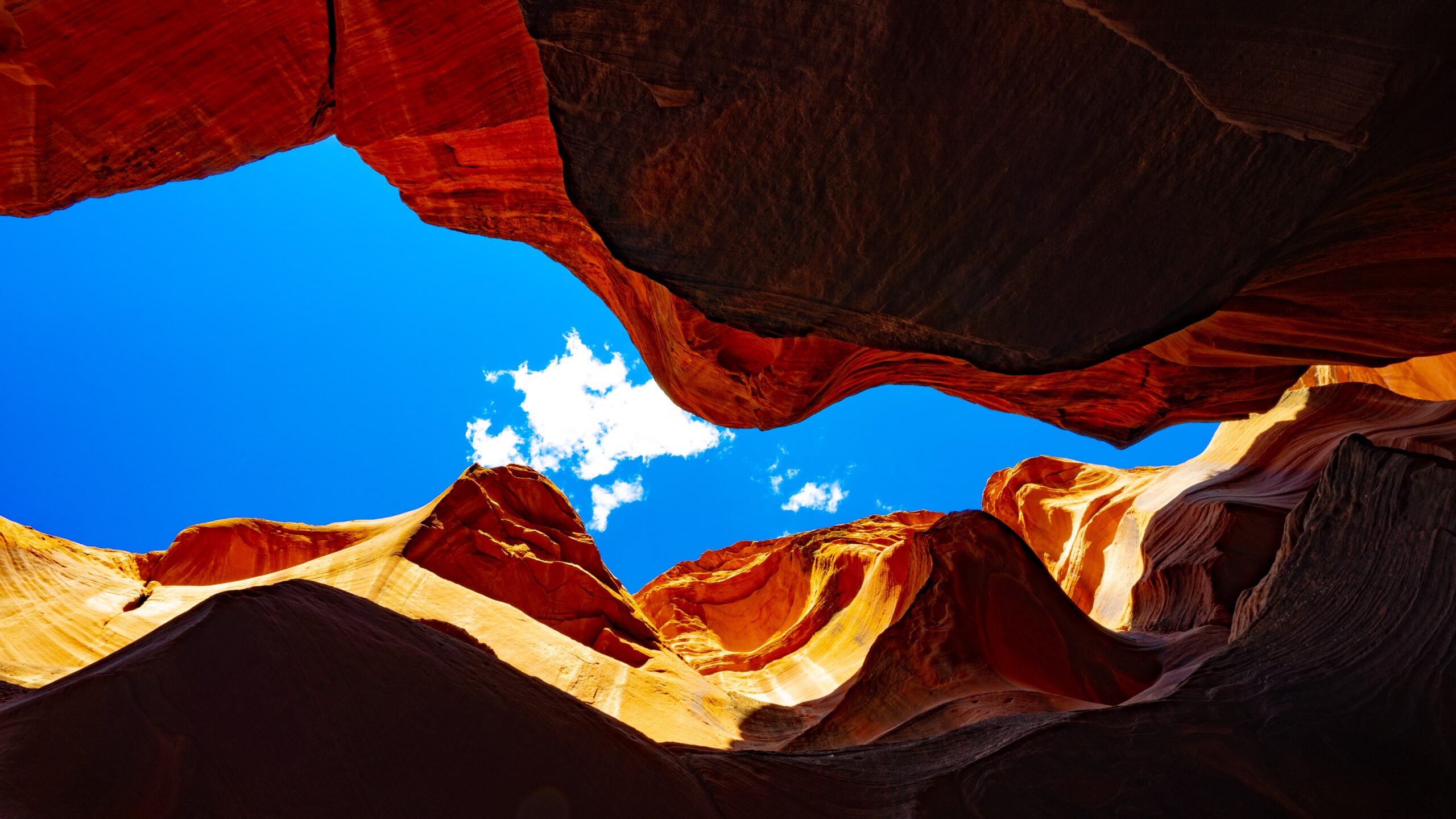 tom-gainor–vDWZgVsE5s-unsplash tom-gainor--vDWZgVsE5s-unsplash